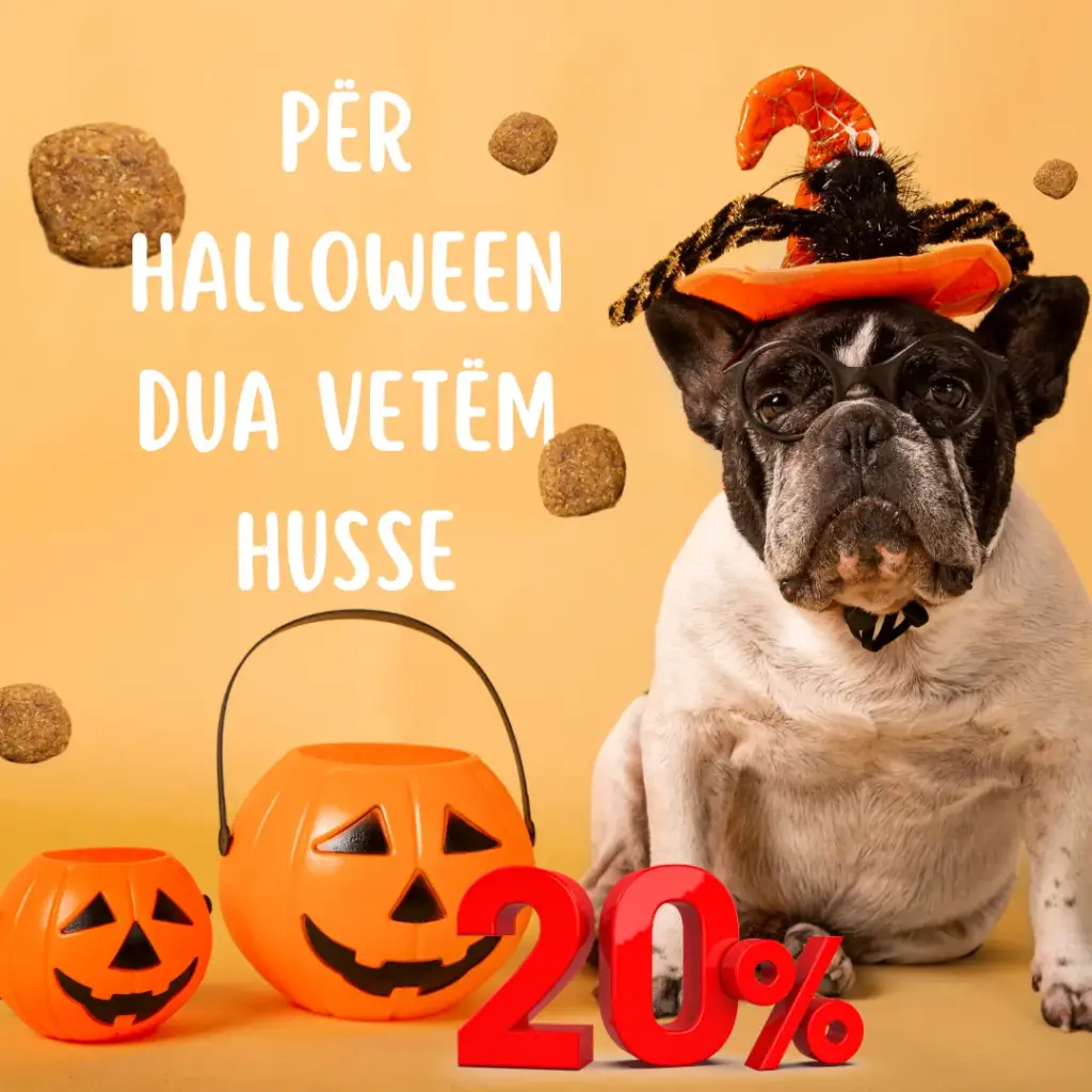 Husse (11)