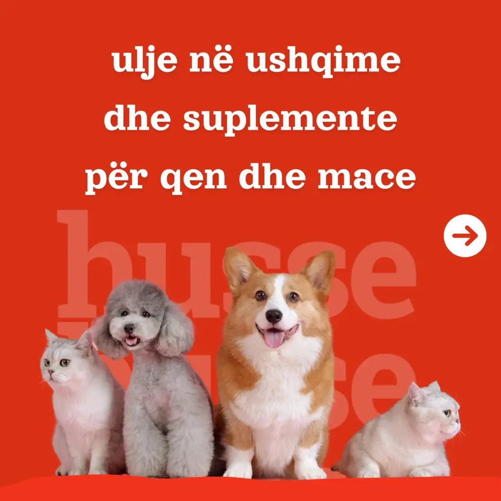 Husse (5)
