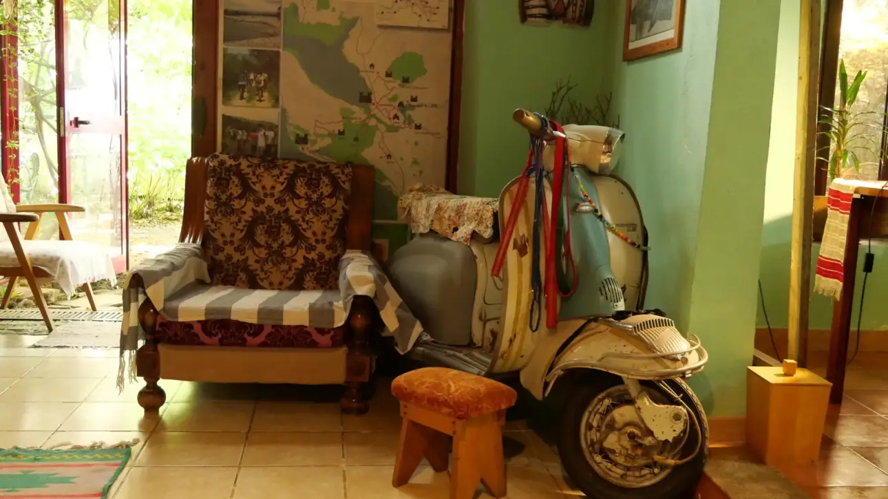 Mi Casa Es Tu Casa (7)